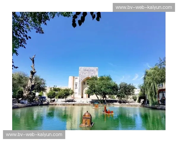 布哈拉vs：一场穿越时空的味蕾冒险，丝绸之路上的风味较量