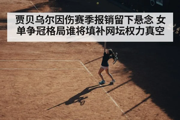 贾贝乌尔因伤赛季报销留下悬念 女单争冠格局谁将填补网坛权力真空 - kaiyun